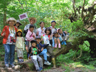 子どもたちを原生林に連れていきたい！！～本当の森体験ツアー のトップ画像