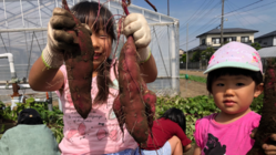 まっちゃん八百や児童館プロジェクト ～焼き芋は地域を救う～ のトップ画像