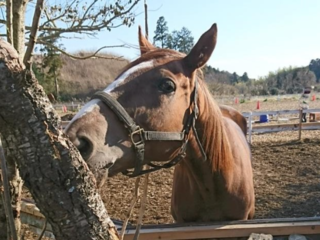 ネクストゴール挑戦中です！