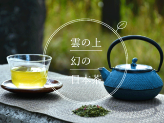 雲上で栽培される幻のお茶！ホンモノの日本茶を世界へ届けたい のトップ画像