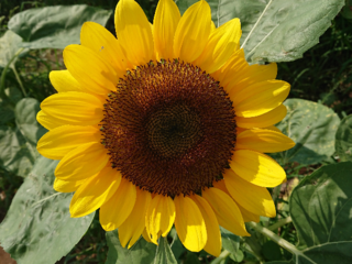 児童福祉施設の開業にご協力ください！子供達の笑顔を守りたい！ のトップ画像