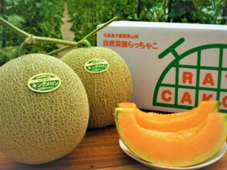 『最高のメロン』を『最高の子どもたち』へ届けたい！ のトップ画像