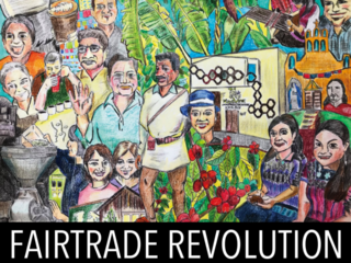 フェアトレード革命！マヤのコーヒー豆をグループで直輸入！ のトップ画像