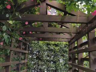 母を花咲く墓地で眠らせたい のトップ画像