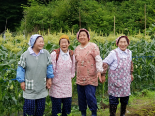 50年の歴史を映像に！根羽村おばあちゃんの「トウモロコシ物語」