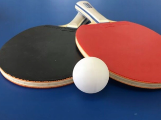 地元の卓球を盛り上げるためにプロの方に来ていただきたい！ のトップ画像