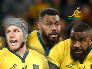 ラグビーオーストラリア代表を小田原市あげて応援したい！ のトップ画像