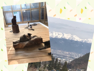 保護猫カフェをバリアフリーに！介護施設入所者さんに猫と絶景を のトップ画像