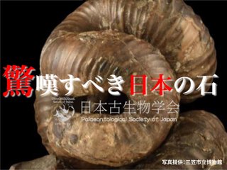 日本代表の古生物-ニッポニテス-3D化PJ　彼らの魅力を全世界へ！ のトップ画像
