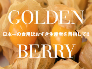 日本一の食用ほおずき生産者を目指して!! のトップ画像