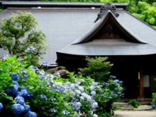 創建1604年「箱根あじさい寺」参道を整備し、多くの方とご縁を。 のトップ画像