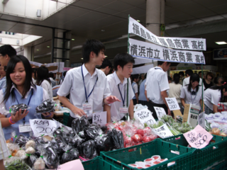 大規模災害に備えた次世代の絆作り「高校生東北商店街Ⅱ」を開催 のトップ画像