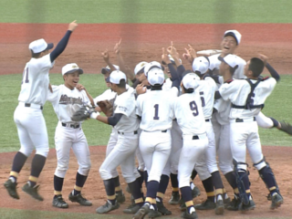 中学生球児が憧れ国民が熱狂する最高レベルの野球大会を育てたい のトップ画像