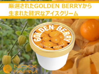 更なる美味しさを求めて。GOLDENBERRYアイスの商品化 のトップ画像
