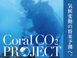 人類が排出した二酸化炭素がサンゴ礁に溶け込んだ量を調べたい！