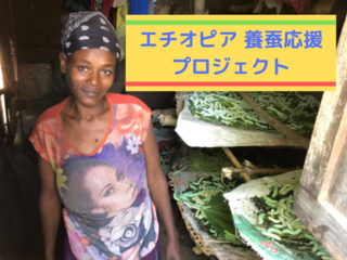 エチオピア養蚕業発展の第一歩！農家さんに養蚕冊子を届けたい のトップ画像