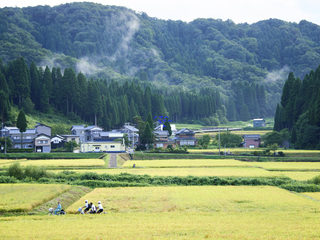 池田町に外国人が訪れる環境を！ガイドツアーサイトを作りたい！ のトップ画像