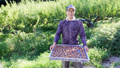 担い手不足の福井梅。食べて、繋がって、支える仕組を作りたい！ のトップ画像