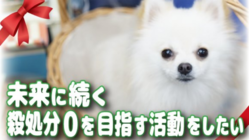 小さな気づきから深まるペットとの絆をより良いものに！ のトップ画像