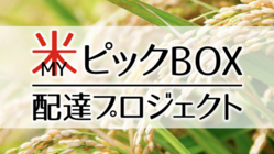 『お米配達プロジェクト』お米農家さんのコダワリを届けたい！ のトップ画像
