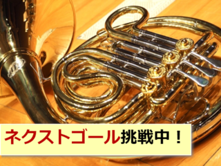 音大でホルン主体で学ぶ娘の学費不足分をご支援くださいませ！ のトップ画像