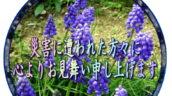 うつぶせで寝るだけで体がリラックスする整体クッション のトップ画像