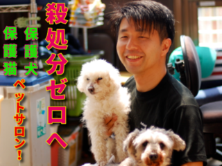 殺処分される犬・猫たちと優しい里親さんを繋ぐペットサロン のトップ画像