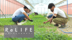 福井県・あわら市で自産自消の農業体験を。ReLIFEプロジェクト！ のトップ画像