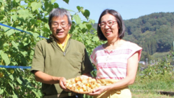 自然栽培で丹精こめた「食用ほおずき」をたくさんの人に届けたい のトップ画像