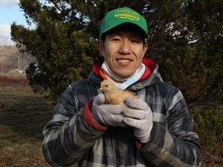 安全で美味しい北海道産飼料100%の平飼自然卵をつくりたい！ のトップ画像