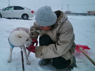 福島で家族を失った犬をセラピードッグに育て人を救う新たな道を