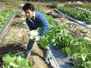 愛媛の耕作放棄地を再生しおいしいオーガニック野菜を育てたい！