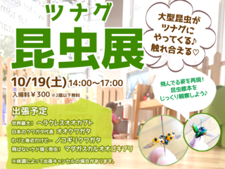 ツナグ昆虫展！大型昆虫がやってくる！触れ合える♪ のトップ画像