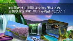 撮影期間4年、日本の自然映像を集めた映像を商品化したい！ のトップ画像