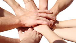 DV・虐待・困難から避難し誰もが安心できるシェルターを作りたい のトップ画像