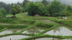 クレイシ棚田を自然体験公園として皆さんに来てもらいたい！ のトップ画像