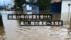 台風19号の被害を受けた山形県黒川、館へ支援募金プロジェクト