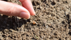 食の大切さを伝えていくための一歩。種の学校の新たな挑戦！ のトップ画像