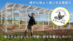 昔ながらの平飼い卵を後世に。我孫子市から卵をお届けしたい！ のトップ画像