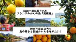 しまなみ海道の柑橘の島を体験型観光農園で盛り上げたい！