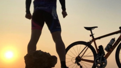 Yamamoru のトップ画像