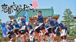 学生の力で第16回京都さくらよさこいを盛り上げたい！！ のトップ画像
