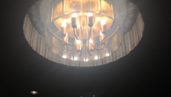 あらゆる絵画をケーキにして提供する画廊喫茶店を開業 のトップ画像