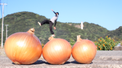 2020年度蜜玉カレンダーの制作 のトップ画像