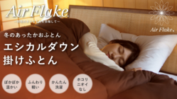 長年かけて開発した人工羽毛エアーフレイク®を世界に広めたい！ のトップ画像