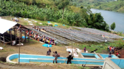 コンゴ民主共和国のコーヒーをもっと日本へ！自社輸入へ挑戦！ のトップ画像