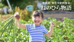 台風で壊れたビニルハウスを改修し、無農薬野菜を全国に届けたい のトップ画像