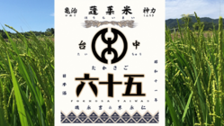 今年は佐賀！日本と台湾をつなぐ日本酒「台中六十五」を醸す‼ のトップ画像