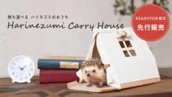 持ち運べるおうち。テント型の「ハリネズミキャリーハウス」 のトップ画像