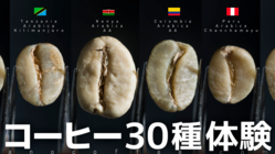 人工知能ｘ家カフェのために焙煎する３０種類のコーヒー豆 のトップ画像